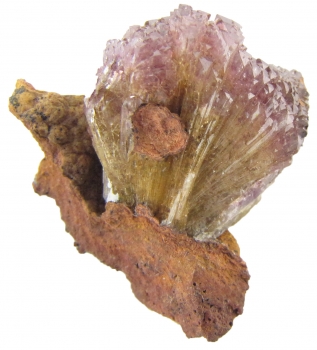 Adamite var. Manganoan (purple) on Limonite from Ojuela Mine, Mapimi, Durango, Mexico [db_pics/pics/adamite4b.jpg]