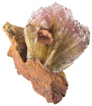 Adamite var. Manganoan (purple) on Limonite from Ojuela Mine, Mapimi, Durango, Mexico [db_pics/pics/adamite4d.jpg]
