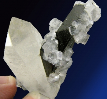 Quartz, Wolframite, Apatite from Panasquiera, Portugal [db_pics/pics/apatite7d.jpg]