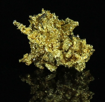 Gold w/ Arsenopyrite from Diltz Mine,  Bear Valley, Whitlock District, Maricopa County, California [db_pics/pics/gold13c.jpg]