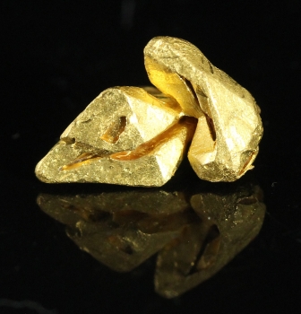 Gold from Pauji, near Santa Elena, Venezuela [db_pics/pics/gold19b.jpg]