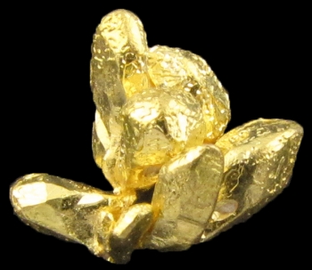 Gold from Near Santa Elena, Venezuela [db_pics/pics/gold7d.jpg]