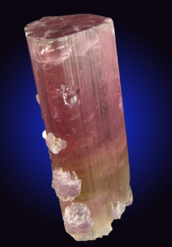 Tourmaline Var. Bi-Color Elbaite with Lepidolite from Himalaya Mine, Mesa Grande, San Diego County, California [db_pics/pics/tourm28d.jpg]
