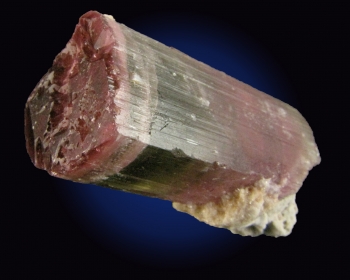 Tourmaline Var. Elbaite (Bi-colored) from Himalaya Mine, Mesa Grande, San Diego County, California [db_pics/pics/tourm38a.jpg]
