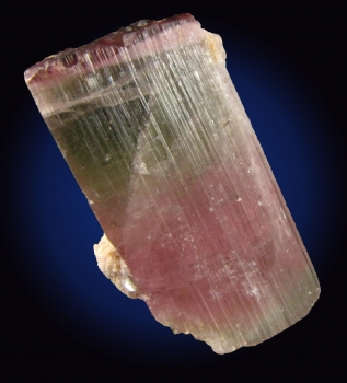 Tourmaline Var. Elbaite (Bi-colored) from Himalaya Mine, Mesa Grande, San Diego County, California [db_pics/pics/tourm38c.jpg]