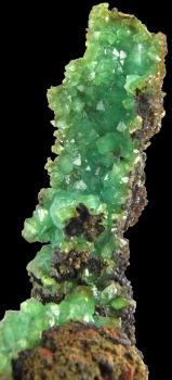 Adamite var. Cuproadamite from Ojuela Mine, Mapimi, Durango, Mexico [db_pics/pics/cupro3b.jpg]