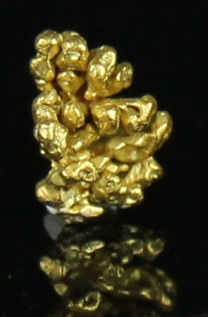 Gold from Sacramento River, Redding, California [db_pics/pics/gold12d.jpg]