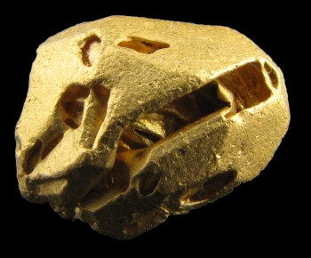 Gold from near Santa Elena, Venezuela [db_pics/pics/gold5d.jpg]