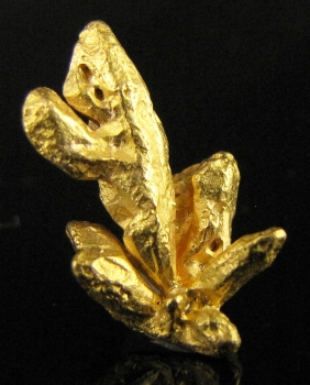 Gold from Near Santa Elena, Venezuela [db_pics/pics/gold9a.jpg]