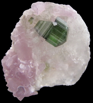 Tourmaline on Quartz with Lepidolite from Pederneira Mine, Sao Jose Da Safira, Minas Gerais, Brazil [db_pics/pics/lepidolite1c.jpg]