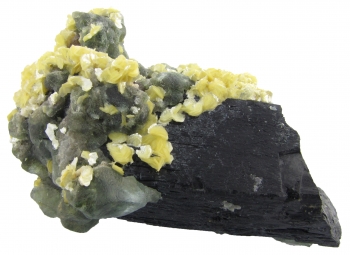 Schorl with Fluorite and Muscovite from Erongo Mountains, Erongo Region, Namibia [db_pics/pics/schorl1d.jpg]