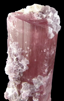 Tourmaline Var. Rubellite w/ Lepidolite from Himalaya Mine, Mesa Grande, San Diego County, California [db_pics/pics/tourm18c.jpg]