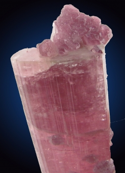 Tourmaline Var.  Elbaite with Lepidolite from Himalaya Mine, Mesa Grande, San Diego County, California [db_pics/pics/tourm32c.jpg]