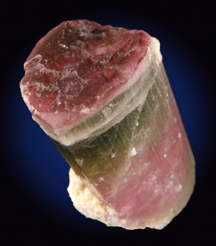 Tourmaline Var. Elbaite (Bi-colored) from Himalaya Mine, Mesa Grande, San Diego County, California [db_pics/pics/tourm38b.jpg]