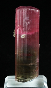 Tourmaline Var. Bi color Elbaite from Himalaya Mine, Mesa Grande, San Diego Co., California [db_pics/pics/tourm53a.jpg]