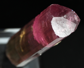 Tourmaline Var. Bi color Elbaite from Himalaya Mine, Mesa Grande, San Diego Co., California [db_pics/pics/tourm53d.jpg]